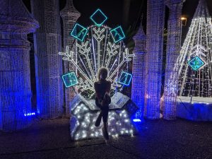 Houston magical winter lights coupon
