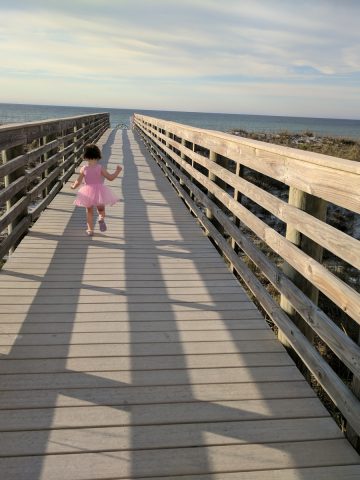 Pensacola Beach Florida Dune Bridge