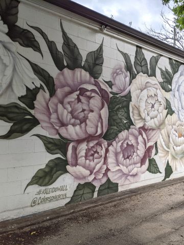 Peony Mural at Kaleido Wall