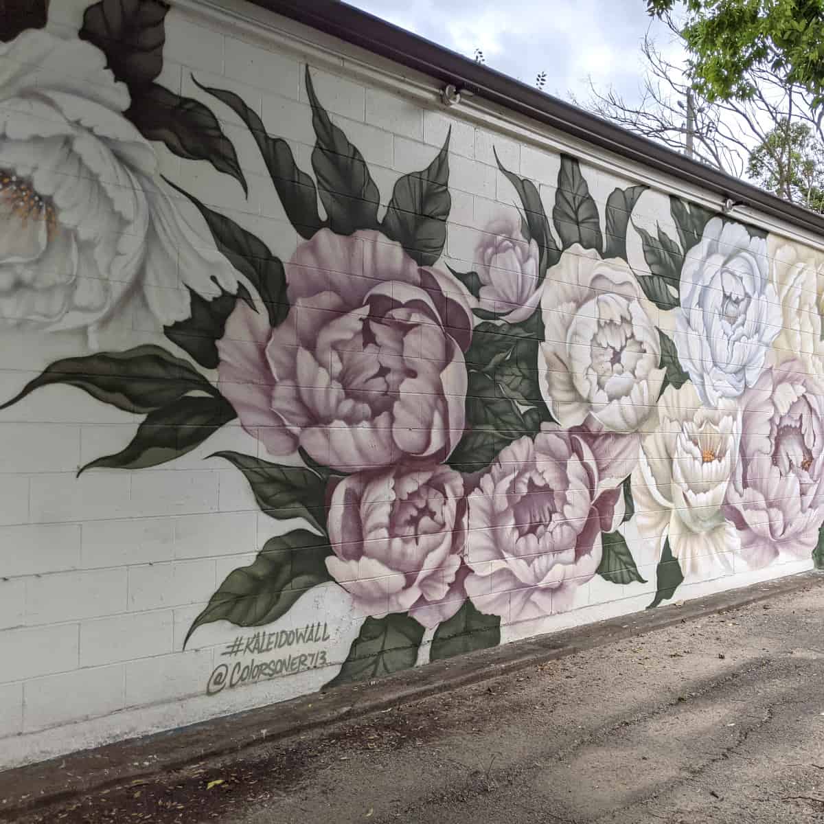 Peony Mural at Kaleido Wall