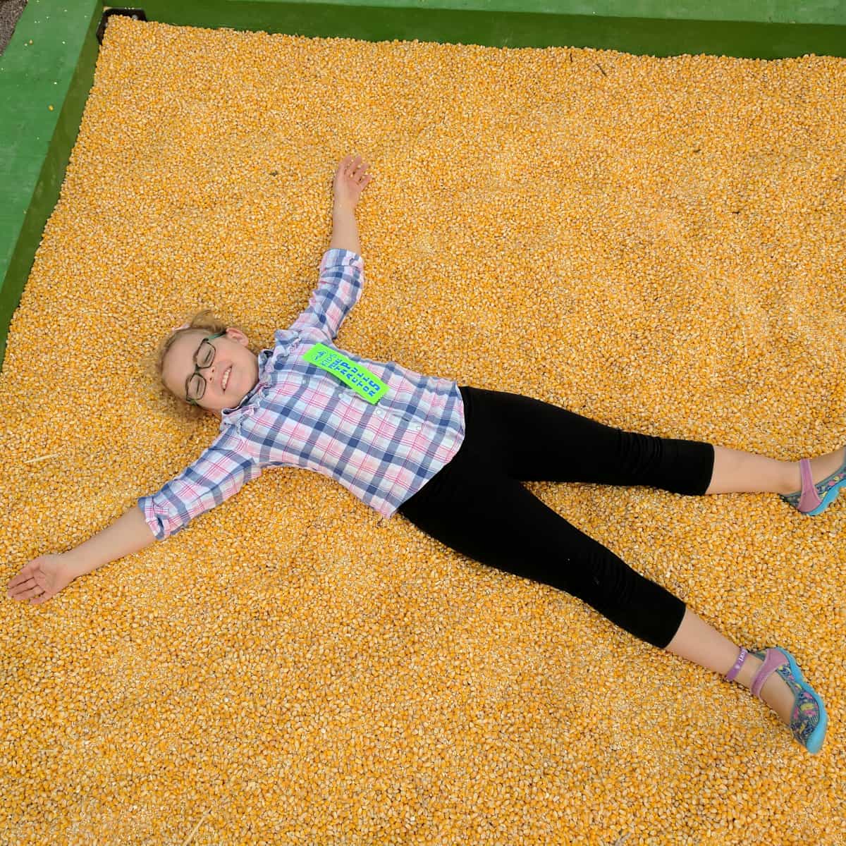 Rodeo Houston Fun on the Farm Girl in Big Box of Dried Corn