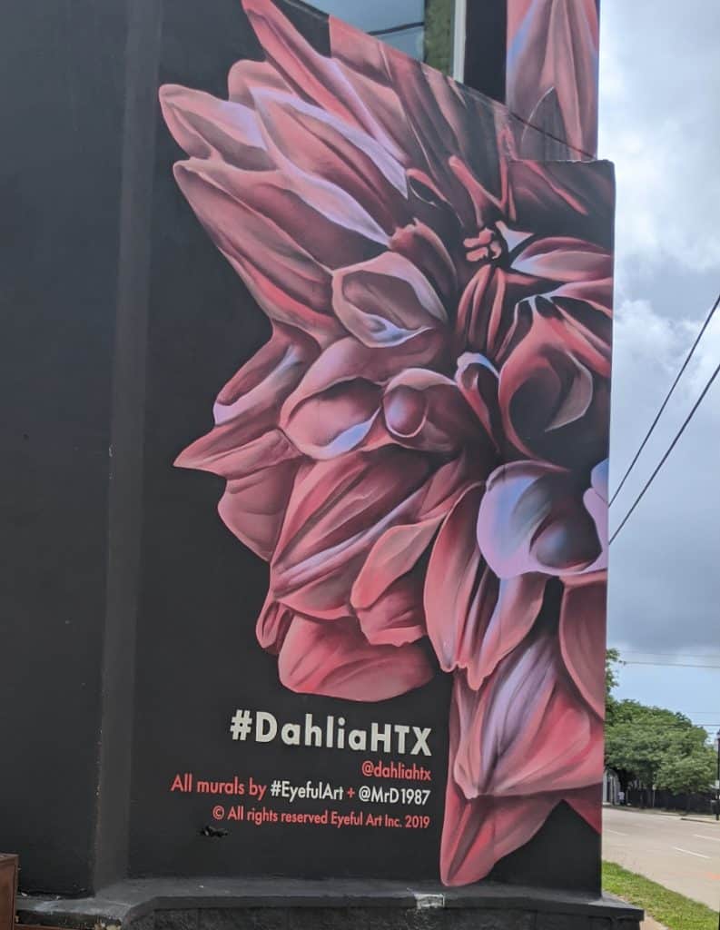 DahliaHTX Murals in Midtown