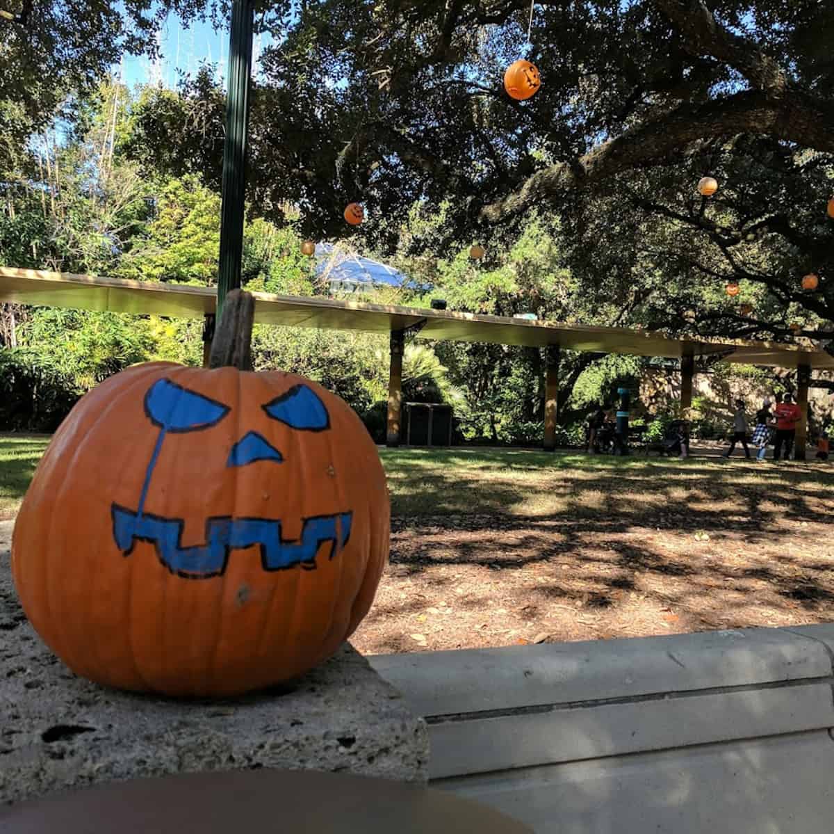 Houston Zoo Boo Pumpkin