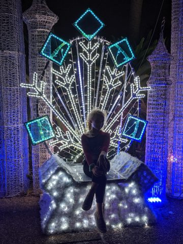 Christmas Light Throne at Houston Zoo Lights