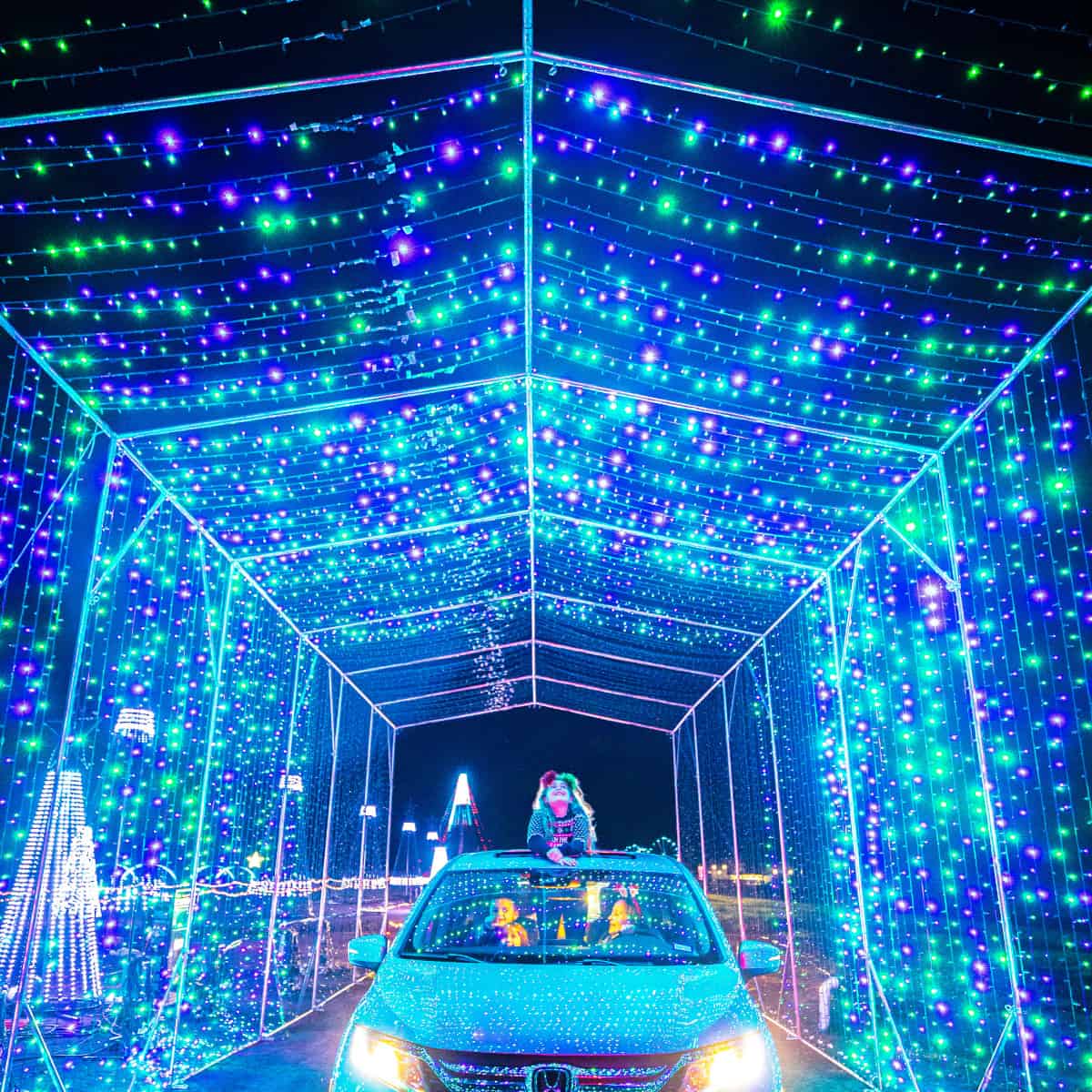 Looking at lights at Dashers Lightshow