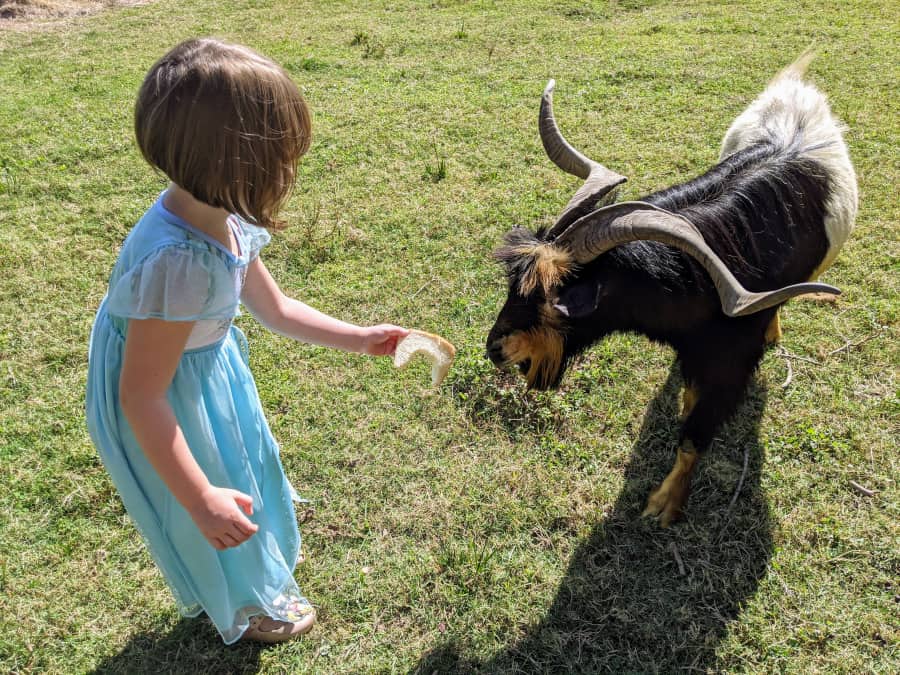 Good Vibe Farm Houston Farm