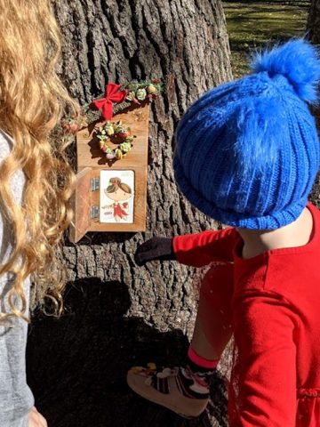 Fairy Trail at Stevenson Park