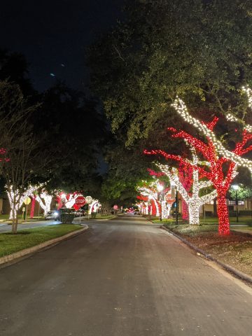 Street lined with Christmas Light Trees at University of St Thomas