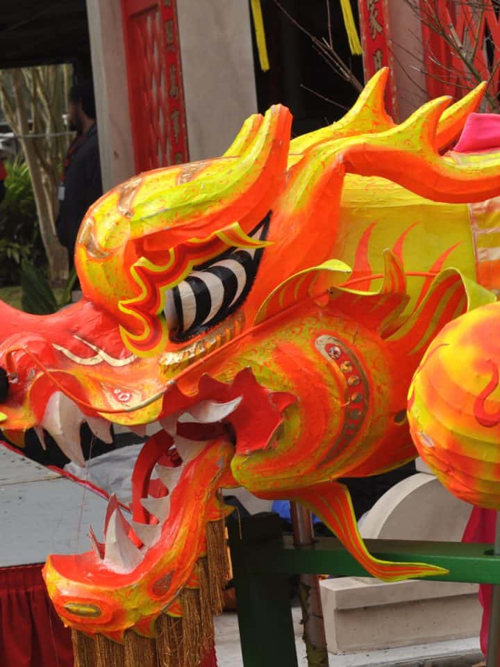 Dragon Dance Dragon for Lunar New Year