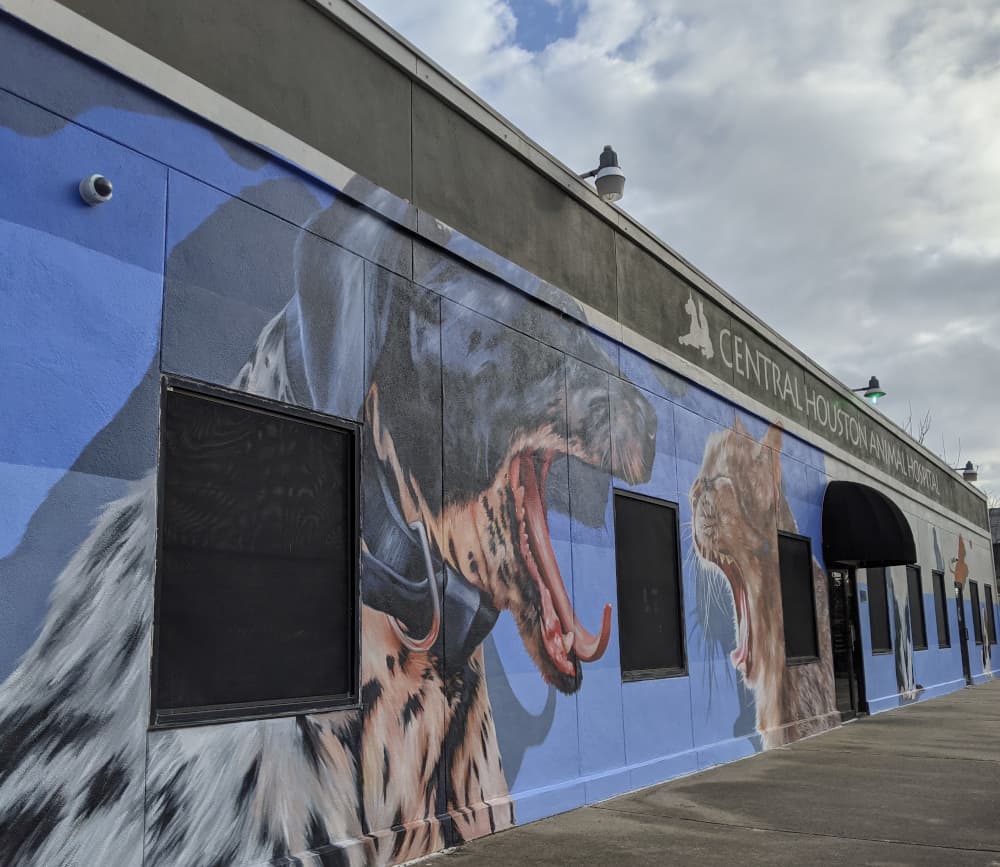 Central Houston Animal Hospital Mural