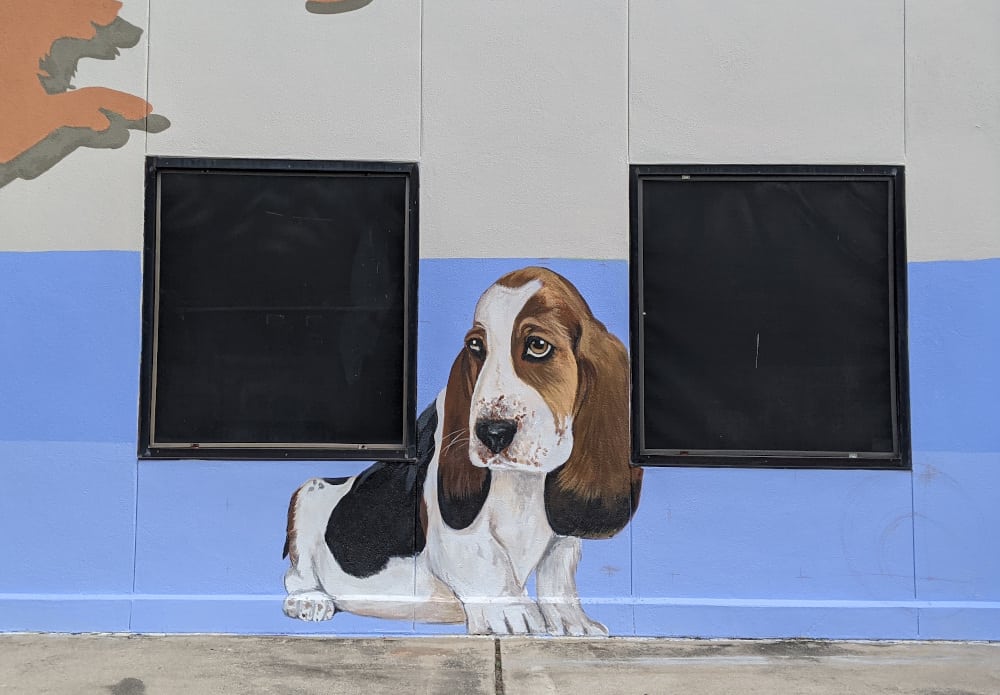 Central Houston Animal Hospital Mural Dog