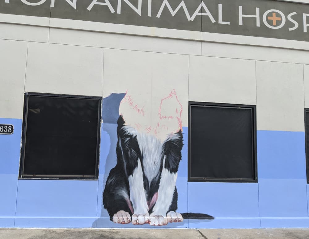 Central Houston Animal Hospital Mural Finishing Mural