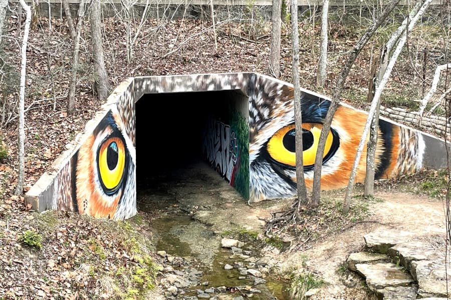Owl Eyes Houston Arboretum Mural