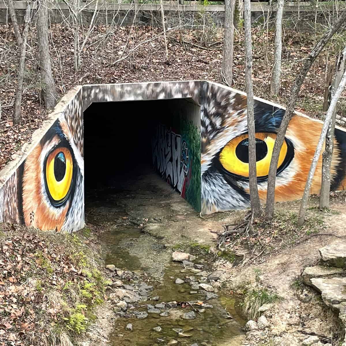 Owl Eyes Mural at Houston Arboretum