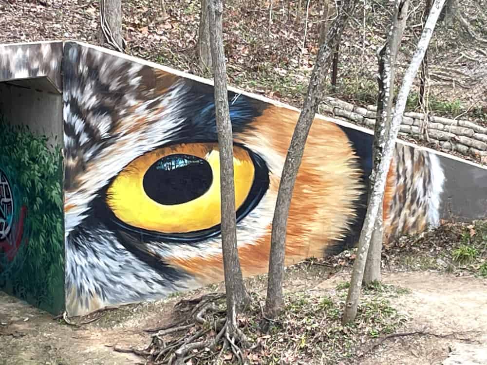 Owl Eyes Mural at Houston Arboretum