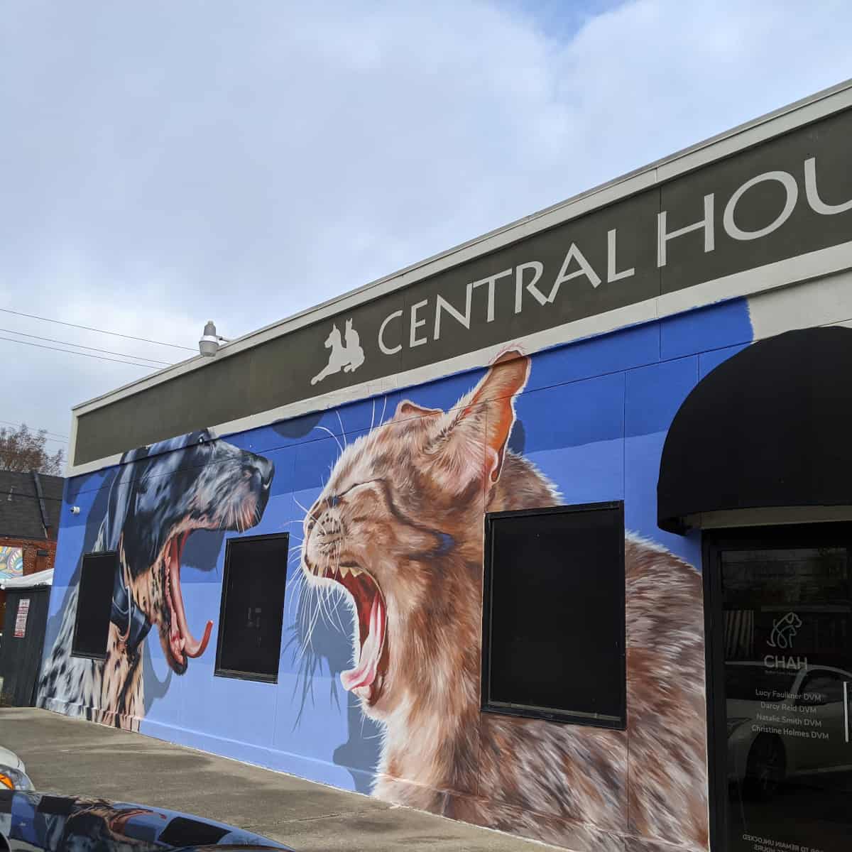 Central Houston Animal Hospital Mural Cat and Dog