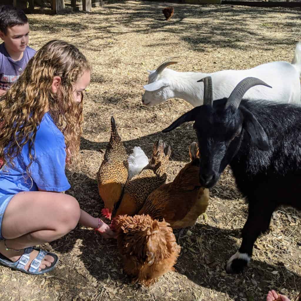 Farms, Safaris, Zoos and AgVenture around Houston