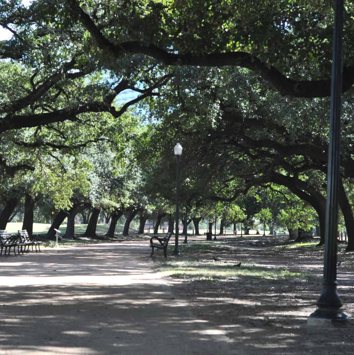 Marvin Taylor Trail at Hermann Park