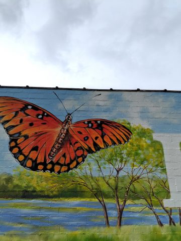Butterfly on Arts District Mural