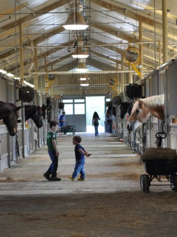 Mounted Patrol Stables