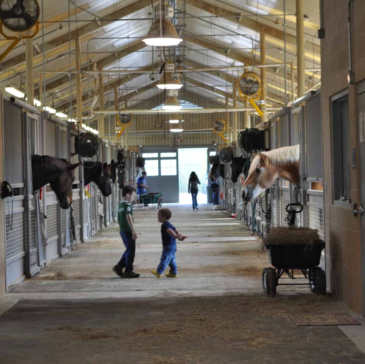 Mounted Patrol Stables