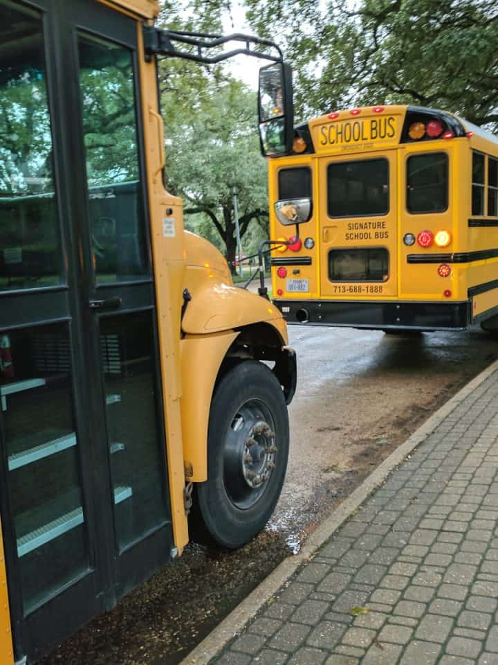 School Buses