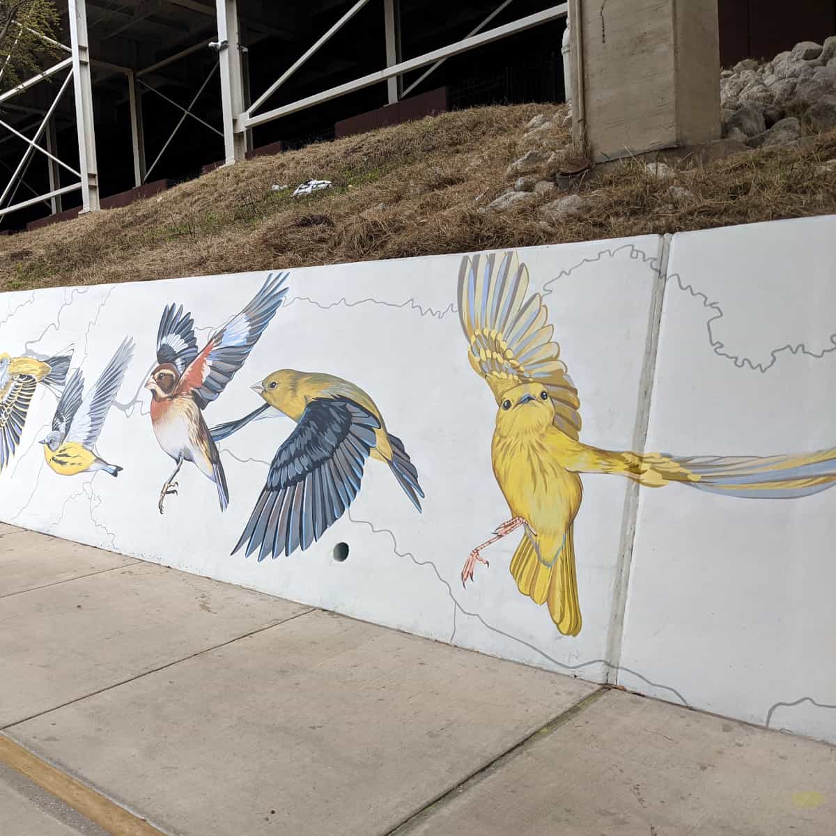 Migrating Bird Mural on the Bayou