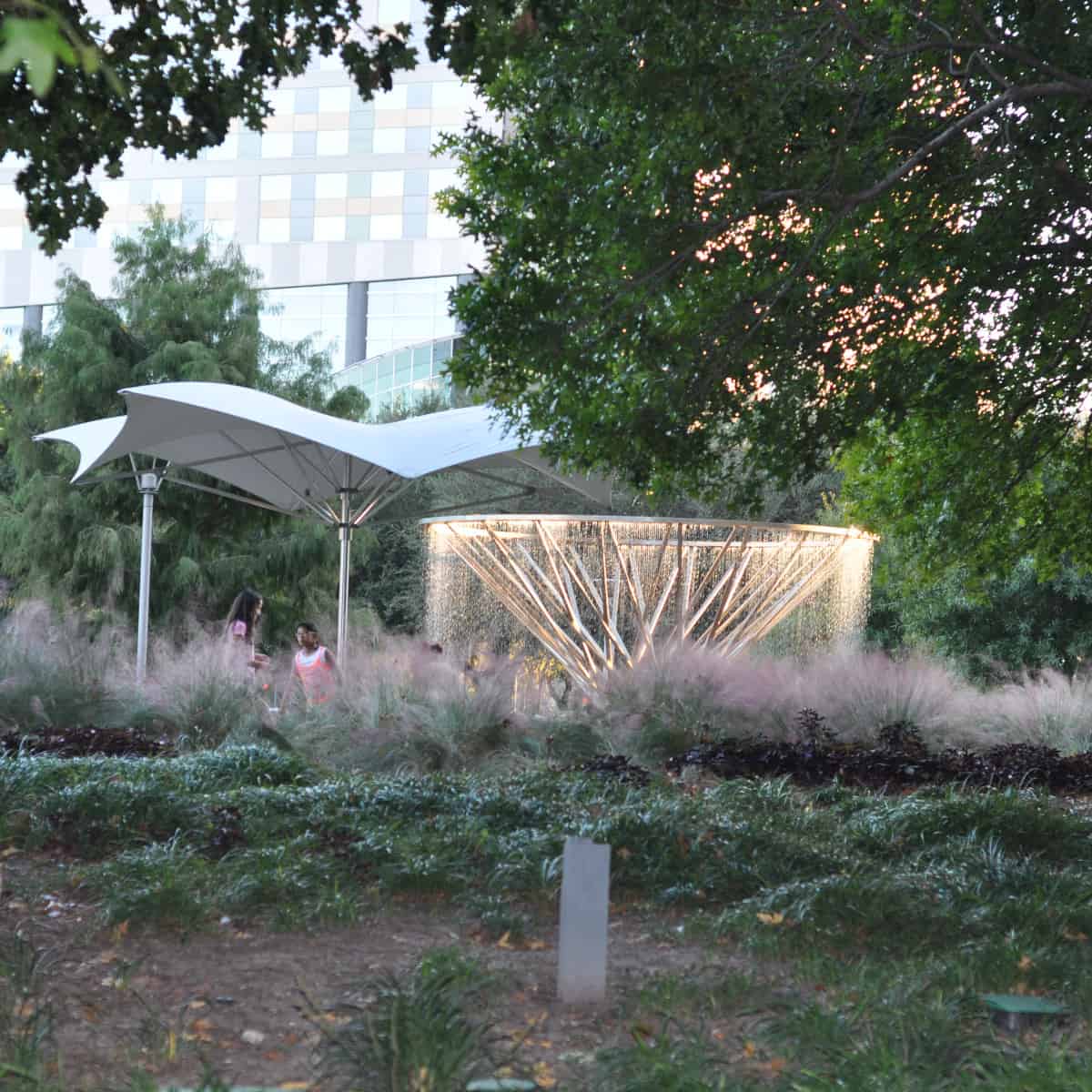 Discovery Green Mist Tree