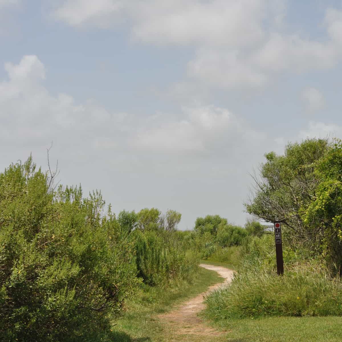 Galveston Island State Park Trail on Bay Side