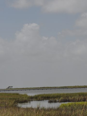 Galveston Island State Park Bay Side