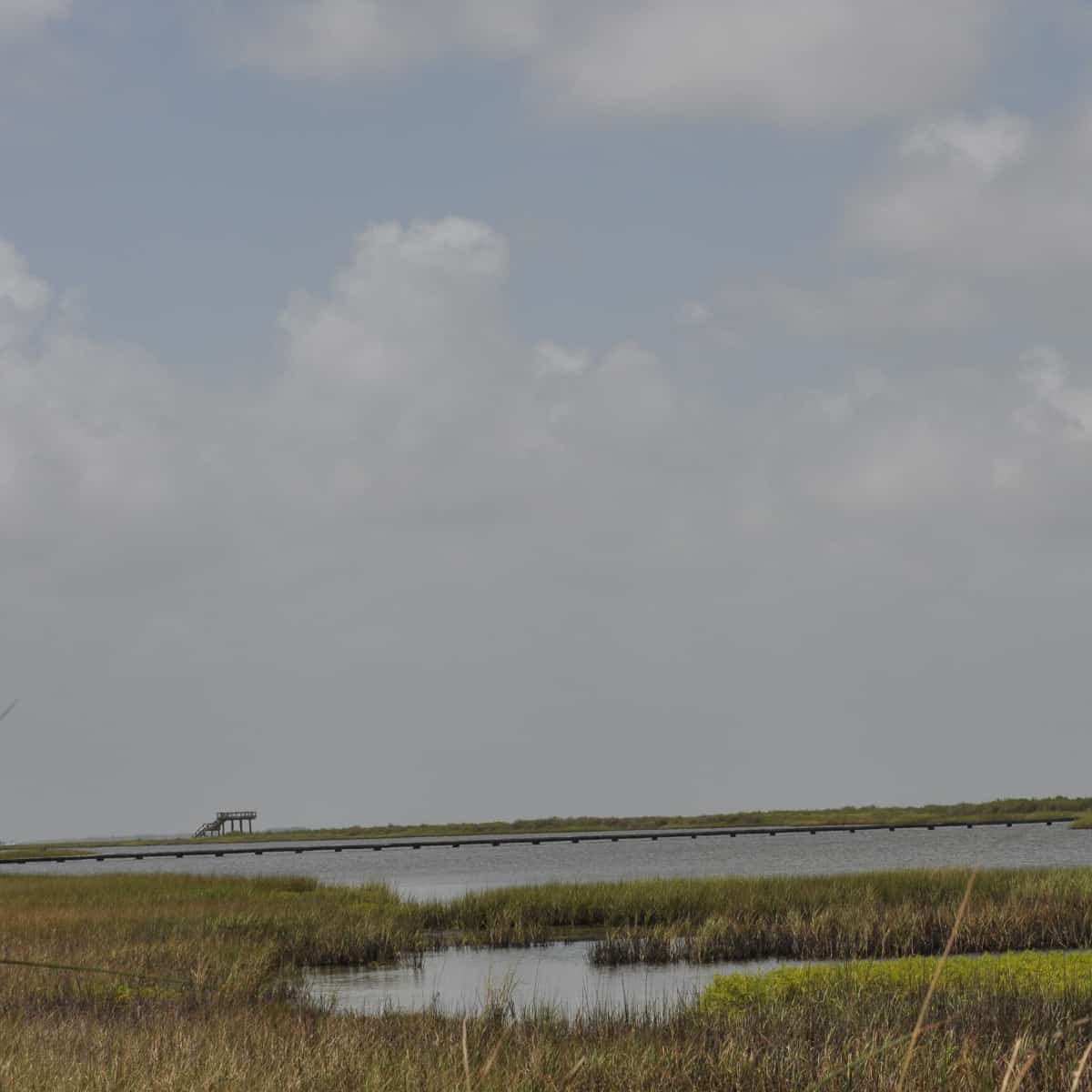 Galveston Island State Park Bay Side