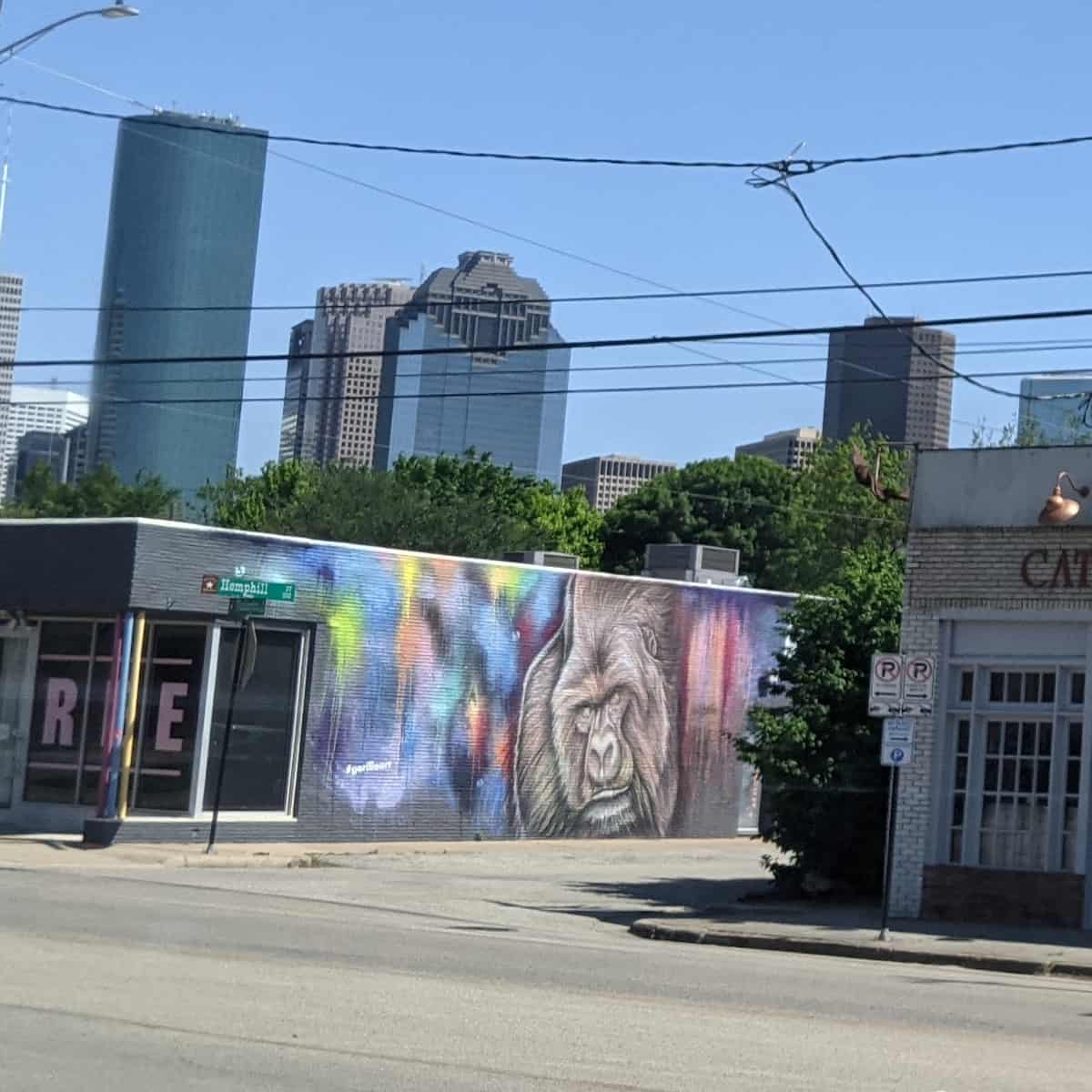 Gorilla Mural on Washington Avenue