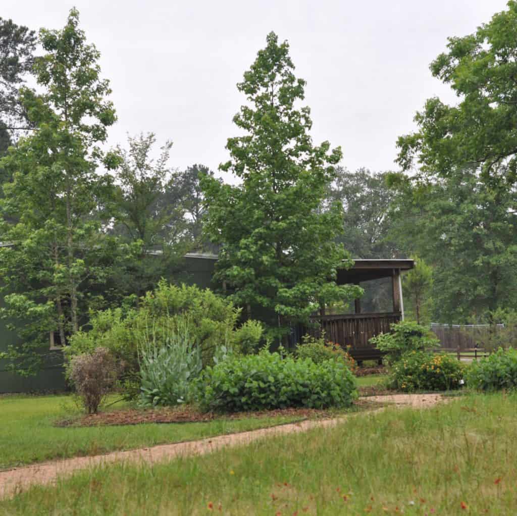 Lake Houston Wilderness Park Nature Center