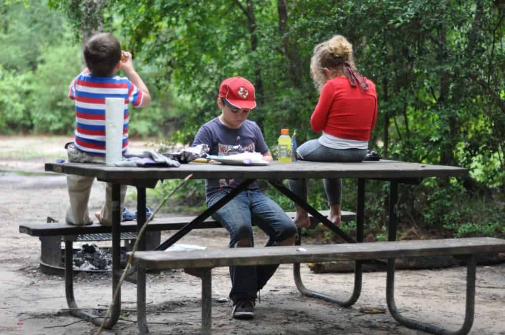 Lake Houston Wilderness Park Picnic Table