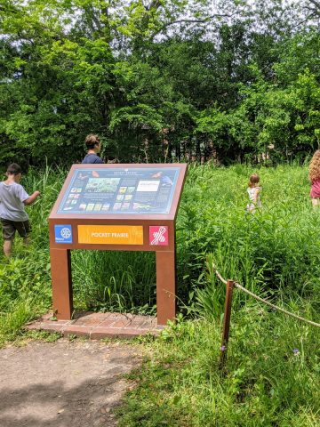 Nature Discovery Center Pocket Prairie