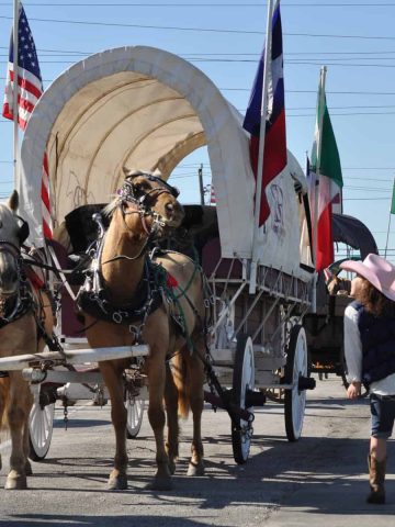 Trail Riders in Houston