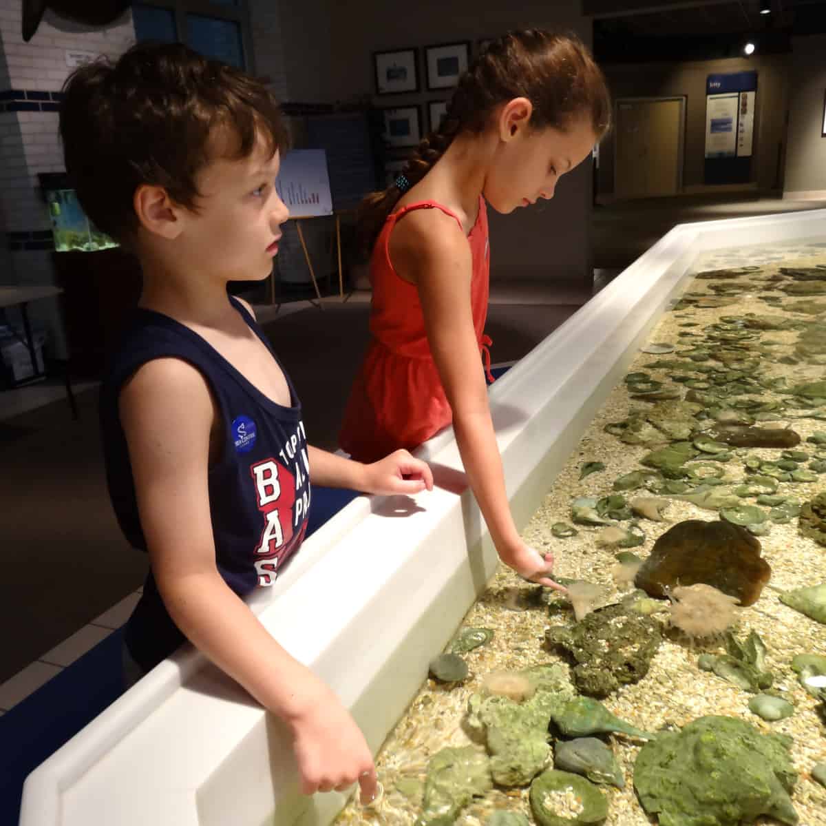 Touch Tank at Sea Center Texas