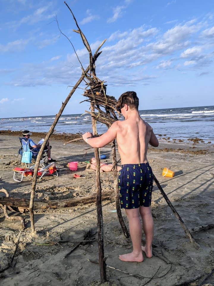 Surfside Beach Driftwood