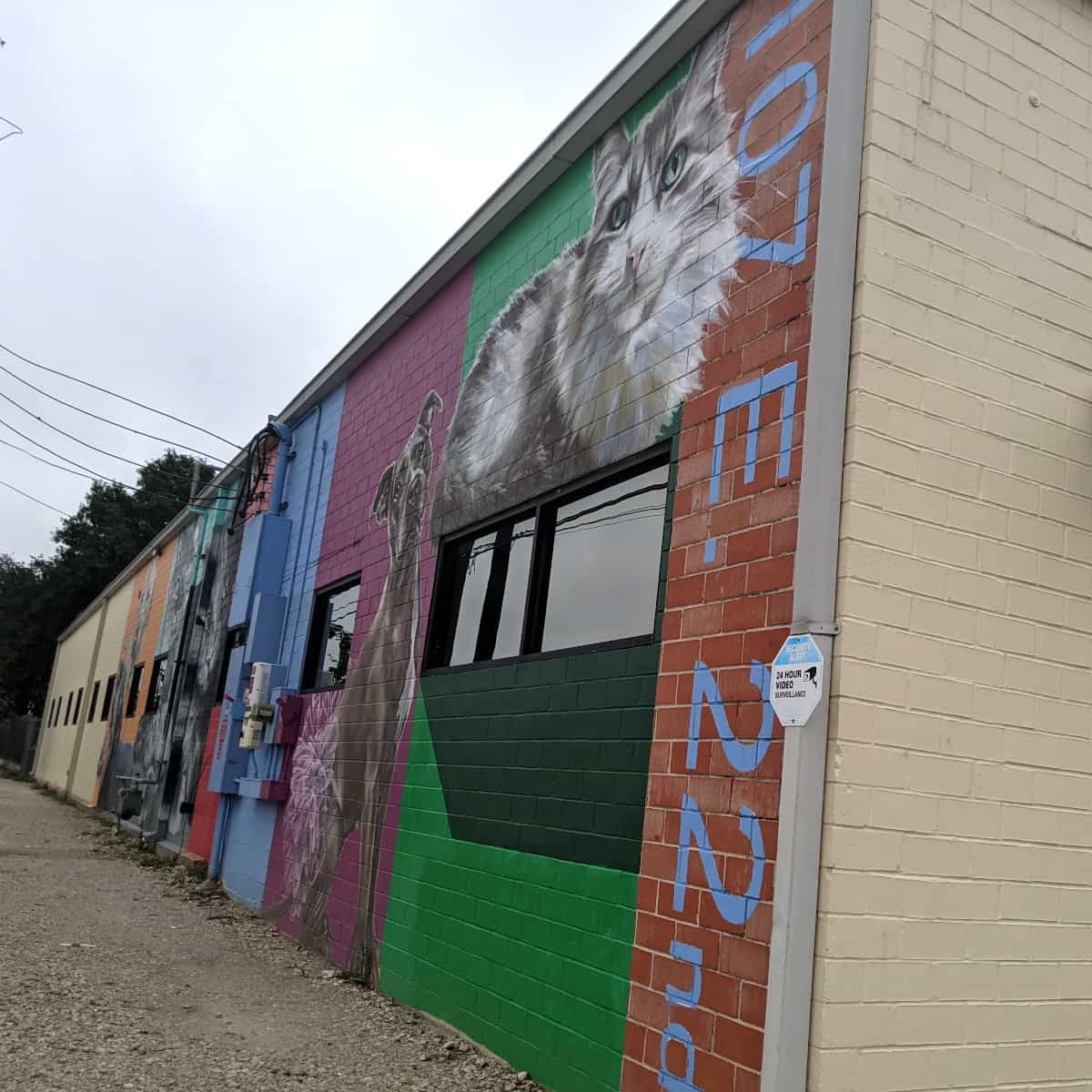 Friends for Life Pet Mural