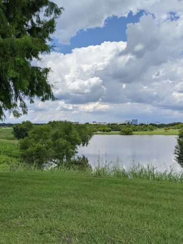 Arthur Storey Park Lake