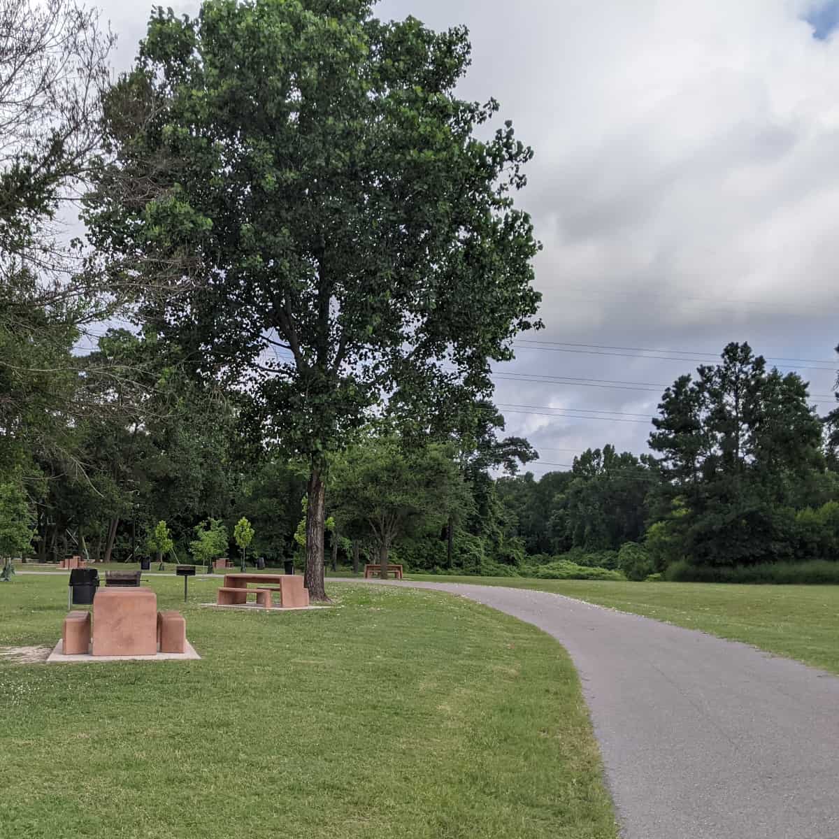 Champions Forest Park Picnic Tables