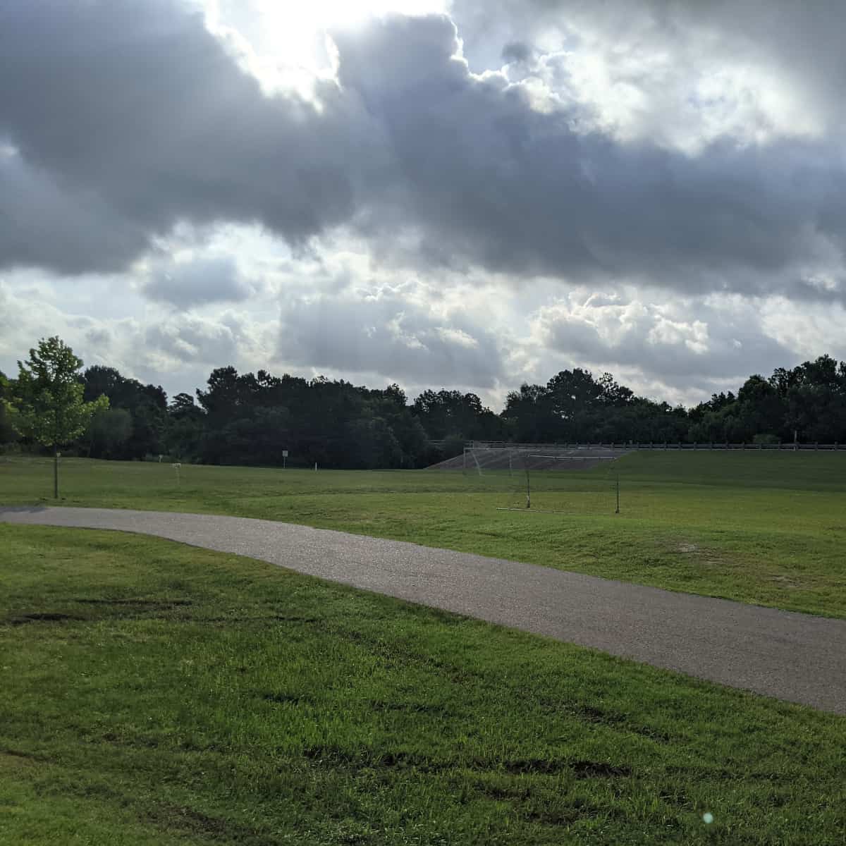 Champions Forest Park Soccer Goals