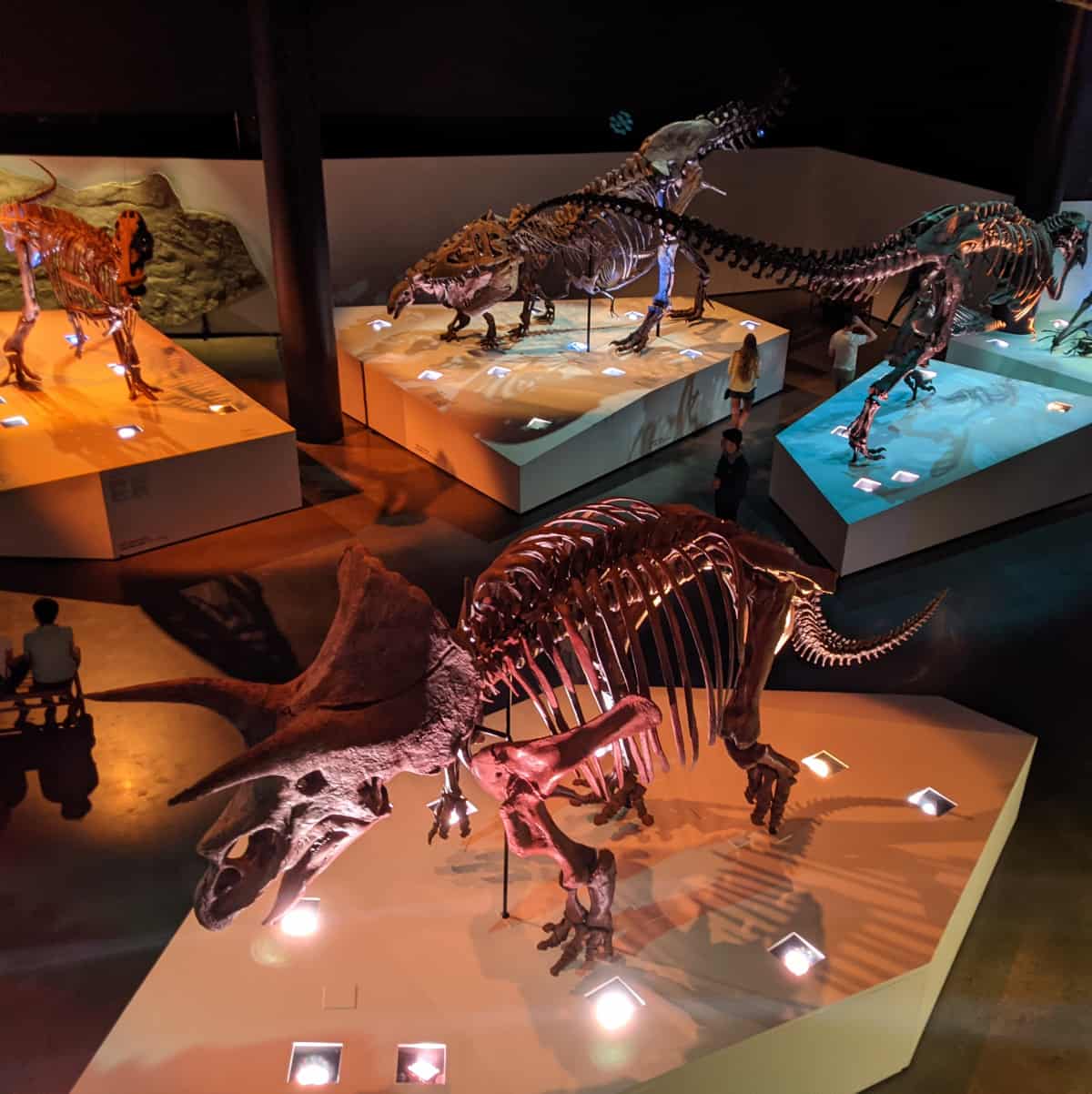 Paleo Hall at Houston Museum of Natural Science