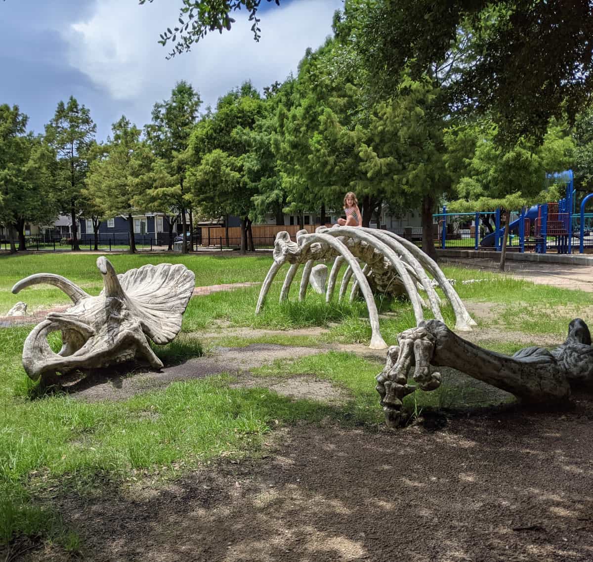 Travis Spark Park Dinosaur Bones
