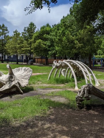 Dinosaur Bone Playground at Travis Spark Park