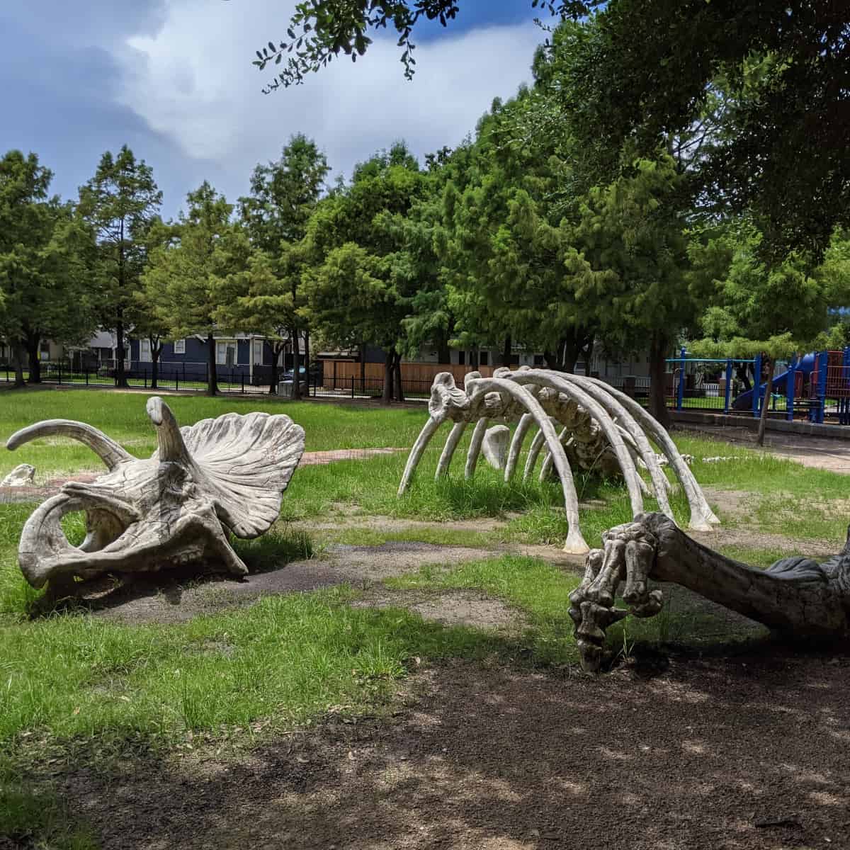 Dinosaur Bone Playground at Travis Spark Park