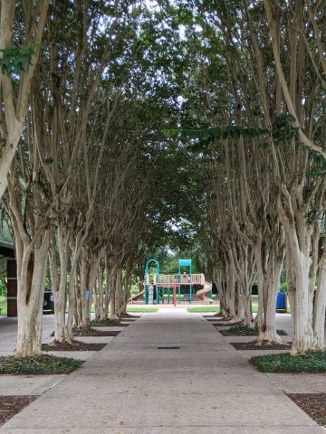 Lost Creek Park Sugar Land Trees and Playground