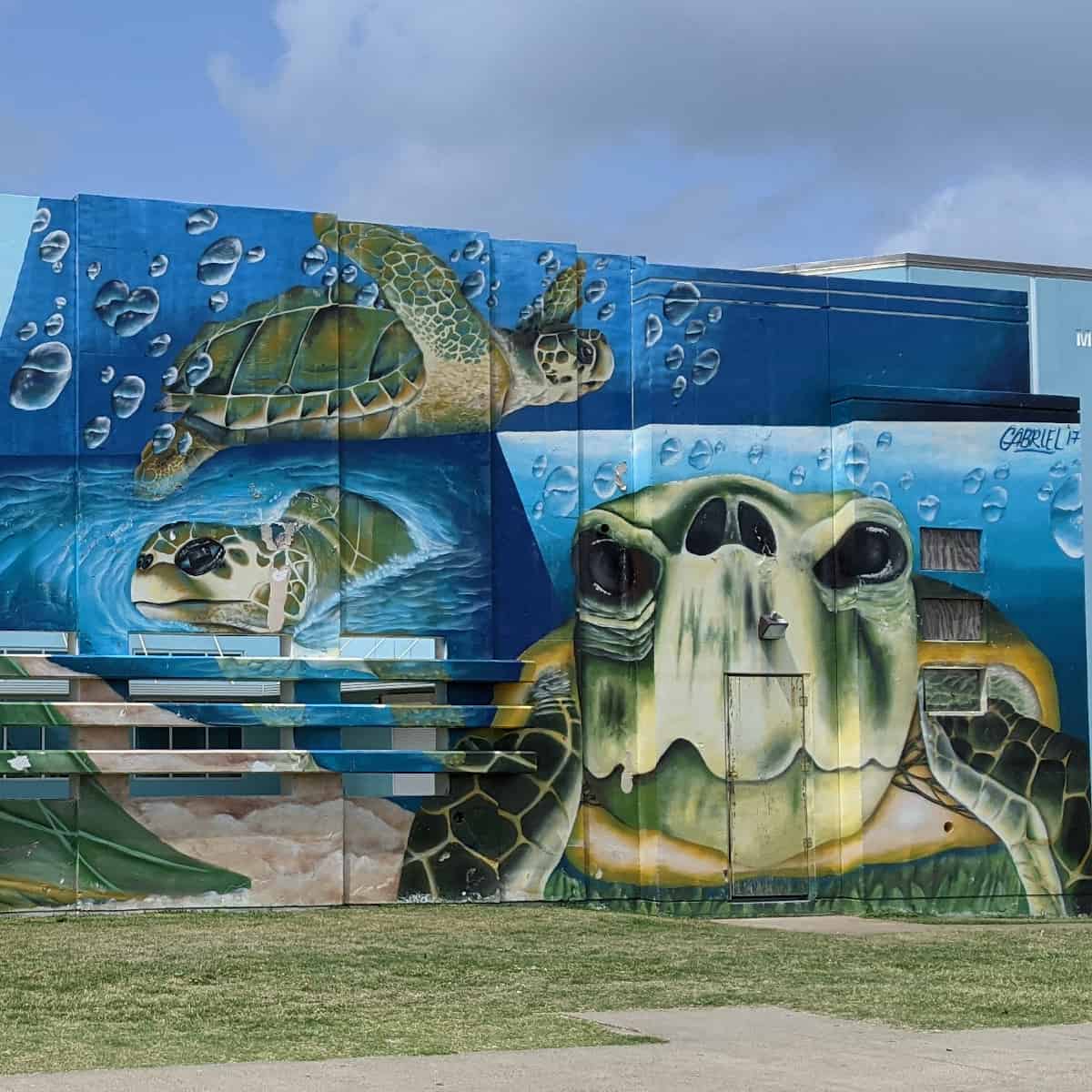 Sea Turtle Mural Galveston