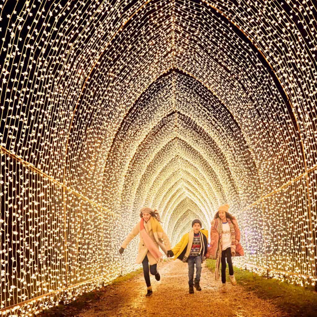 Houston Botanic Garden Lightscape Holiday Lights