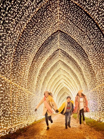 Lightscape at Houston Botanic Garden Cathedral of Lights